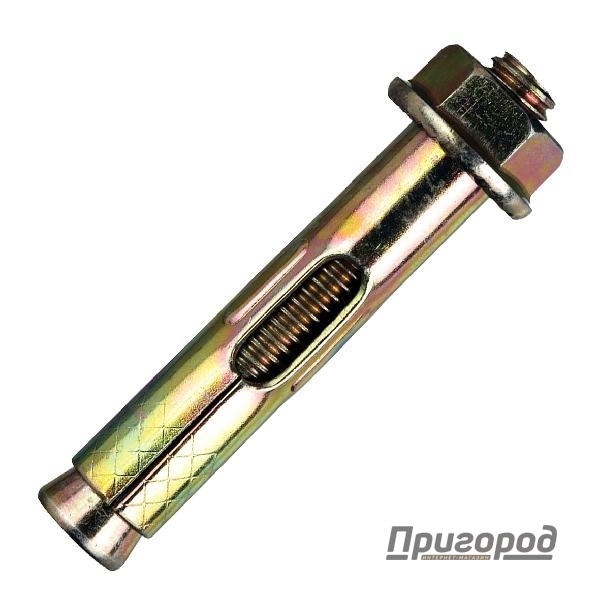 Анкер болт с гайкой 10х150